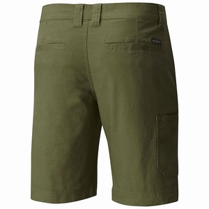 Columbia Flex ROC™ Short Herr Gröna (YHIEN2635)